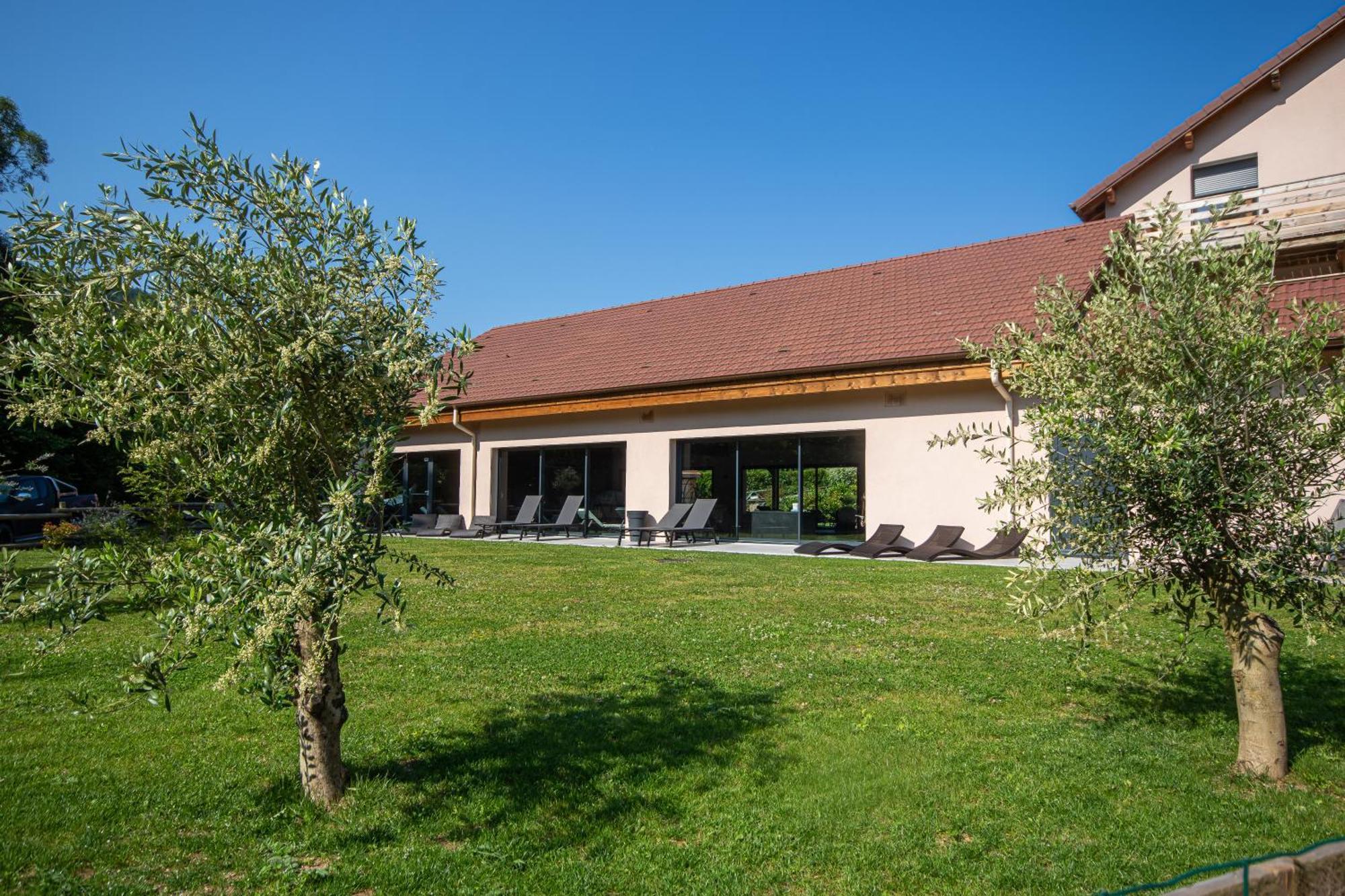 Logis Hotel Le Regal & Spa Saint-Die-des-Vosges Dış mekan fotoğraf