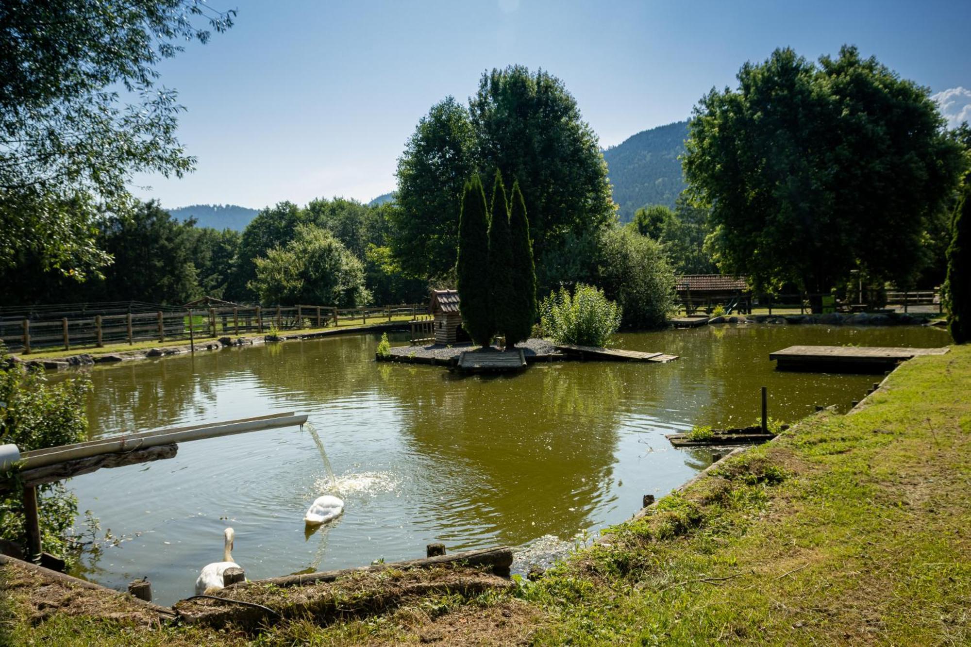 Logis Hotel Le Regal & Spa Saint-Die-des-Vosges Dış mekan fotoğraf
